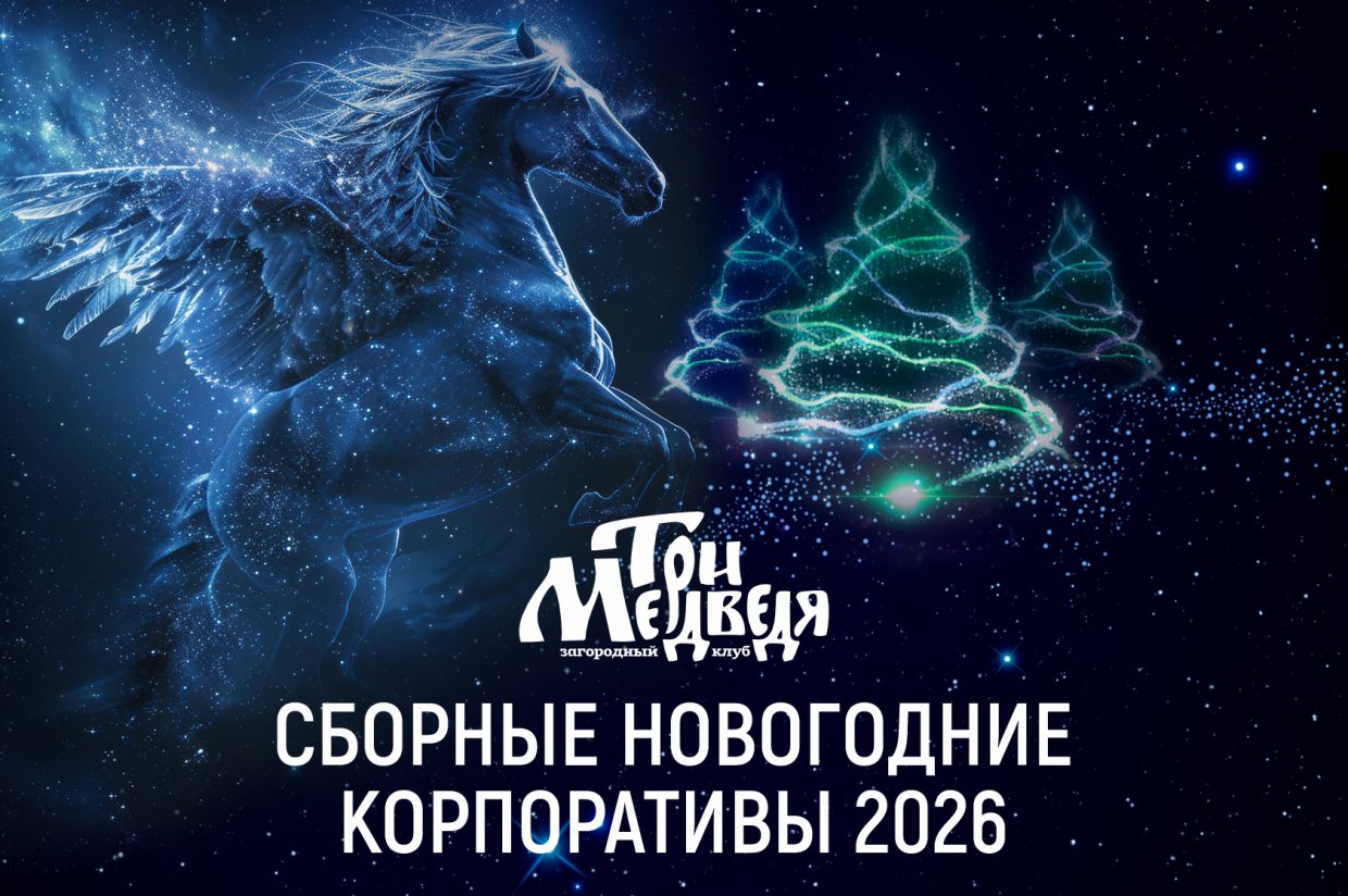 Предновогодние сборные корпоративы